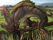 Offizielles Artwork von Crackers