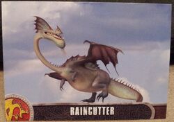 Regenschneider Drachen Wiki Fandom