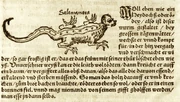 Salamander Lycosthenes