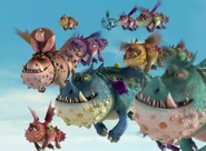 Gronckel Farbvariationen.png (1,32 MB) einige verschiedenfarbige Gronckel