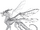 HiveWing Wings of Fire.png