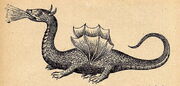 Kircher-Drache-Rhodos