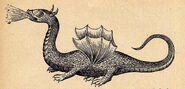 Holzstich des Drachen von Rhodos von Athanasius Kircher