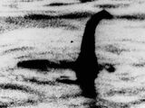 Ungeheuer von Loch Ness