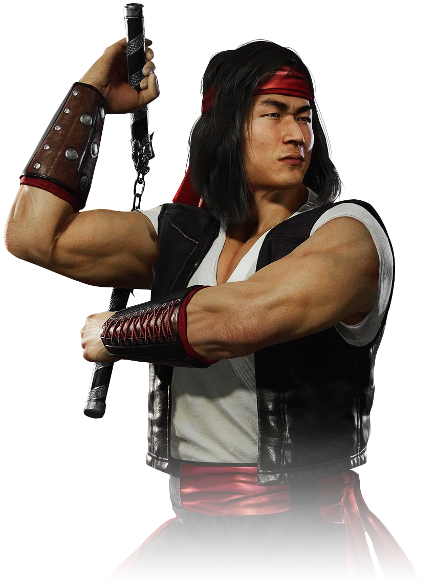 Liu Kang Drachen Wiki Fandom 5208