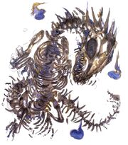 Amano Bone Dragon