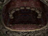 YamaTsukami Maul.jpg (426 KB) Das Maul des Yama Tsukami