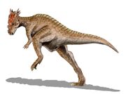 LebendrekonstruktionDracorex