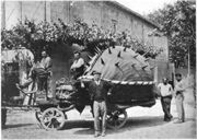 Gostling(1911)-p171-tarasque (cropped)