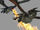 Dragonsworld.jpg