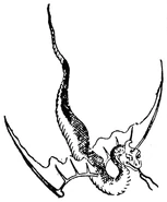 Huá Shé, eine in China gesichtete Schlange