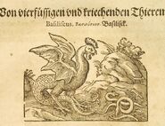 Illustration von Johst Aman zu Historia Naturalis von Plinius dem Älteren, 1584