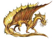 Golddrache