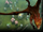 Dragon Knight Steam Profile Background DOTA2.png