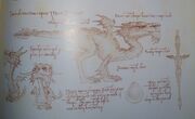 MoonDragonAnatomy.jpg