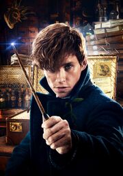 Newt Scamander