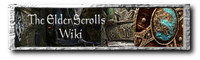 ElderScrollsWiki Banner.png