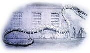 Hydrarchos