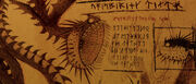 Flüsternder Tod Buch der Drachen.jpg