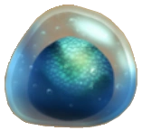 Tiefseespalter Dragons Aufstieg Von Berk Drachenzahmen Leicht Gemacht Wiki Fandom