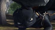 Toothless(83)