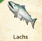 Lachs