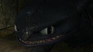 Toothless(145)