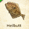 Heilbutt