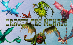 Drache des Monats Titelbild neu