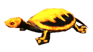 SoD Tier Schildkröte Finsternacht orange