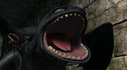 Toothless(146)