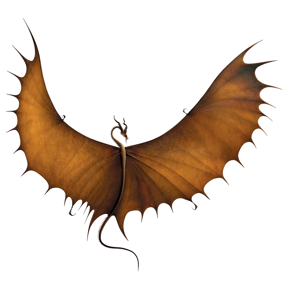 Körpertypen von Drachen Drachenzähmen leicht gemacht Wiki Fandom