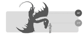 Klingenpeitschling Größe