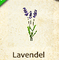 Lavendel