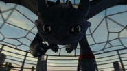 Toothless(22)