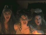 Dracula's brides