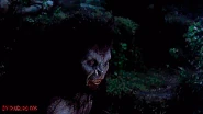Dracula in his bestial wolf form.