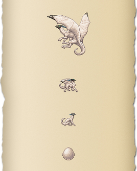 Blacktip infobox set