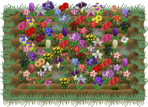 A full flowerbed