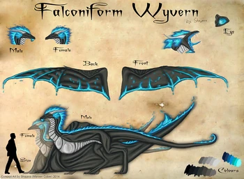 Falconiform Refsheet