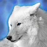 SkyWolf25's current forum avatar