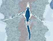 Top view