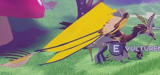 Elder