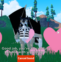 BondingStep4