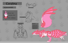 Coralina | Dragon Adventures Wiki | Fandom