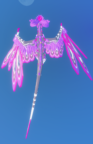 Top view