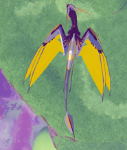 Top view