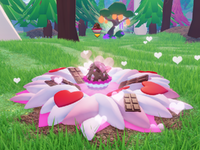 Nest