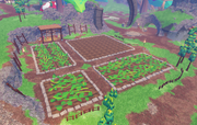 Farm