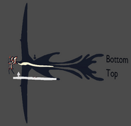 Frill and wing development
